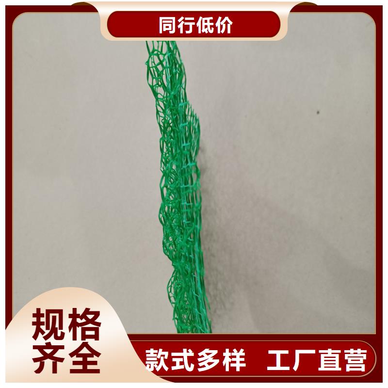 三维植被网_透水管助您降低采购成本