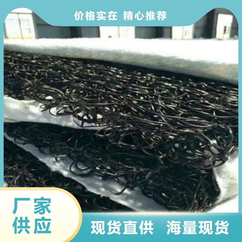 整體式復(fù)合反濾層-滲排水網(wǎng)墊研發(fā)生產(chǎn)銷售
