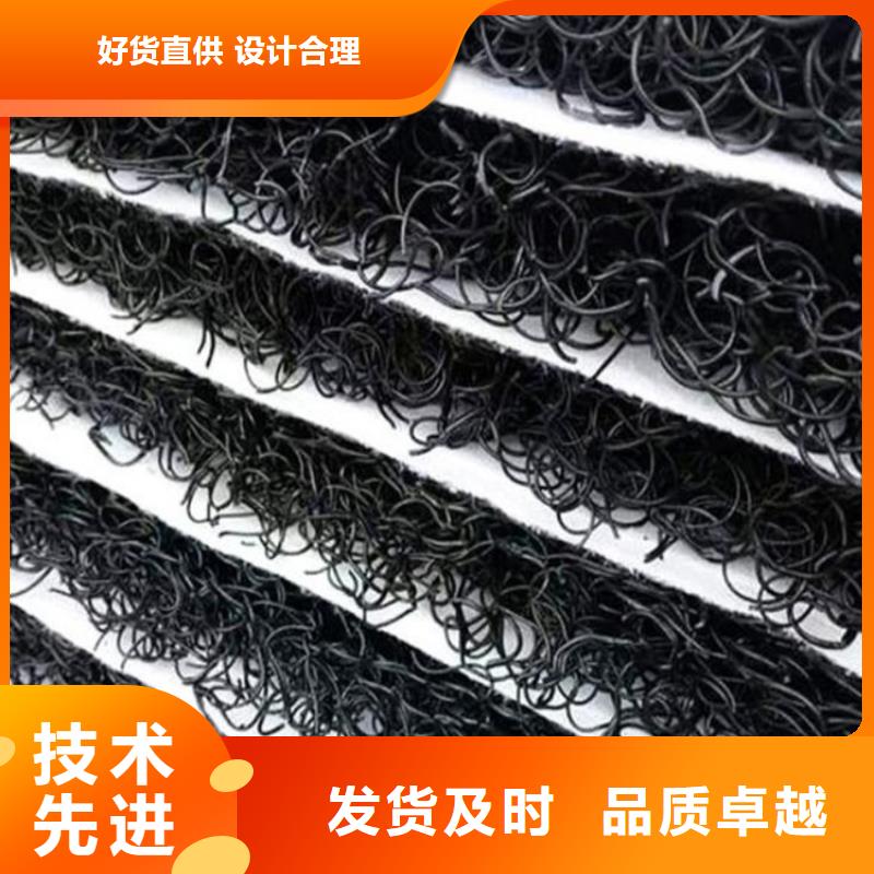 整體式復(fù)合反濾層-滲排水網(wǎng)墊研發(fā)生產(chǎn)銷售