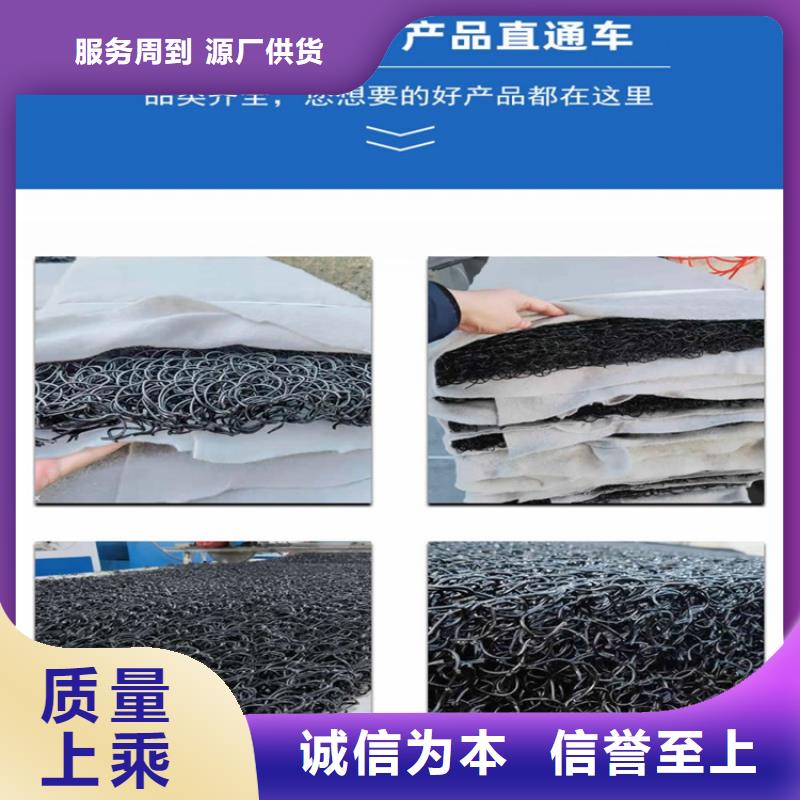 整體式復(fù)合反濾層復(fù)合排水隔離墊專注質(zhì)量