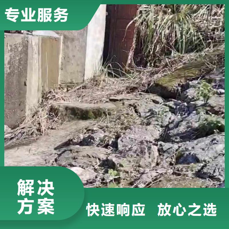 蛙人水下作业公司一方案合理本地