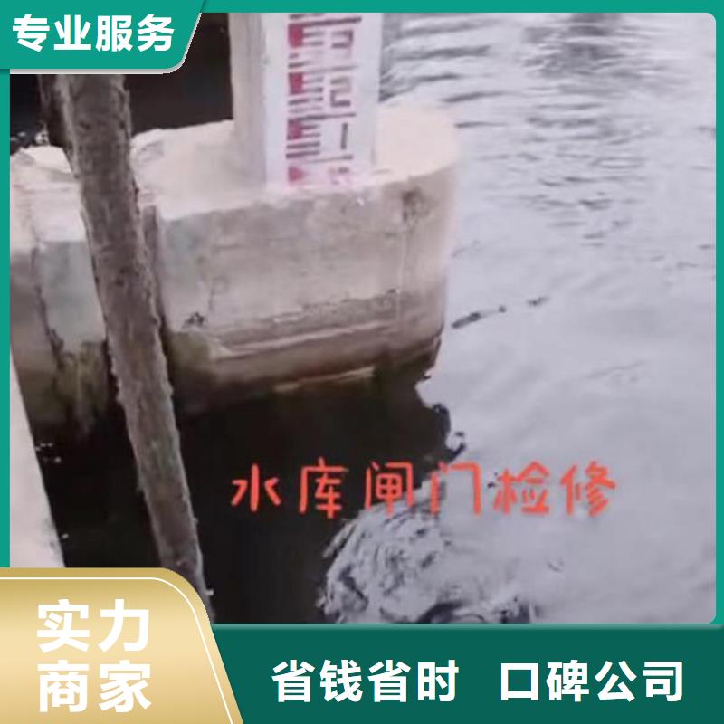 【潜水员服务】水下清理专业品质