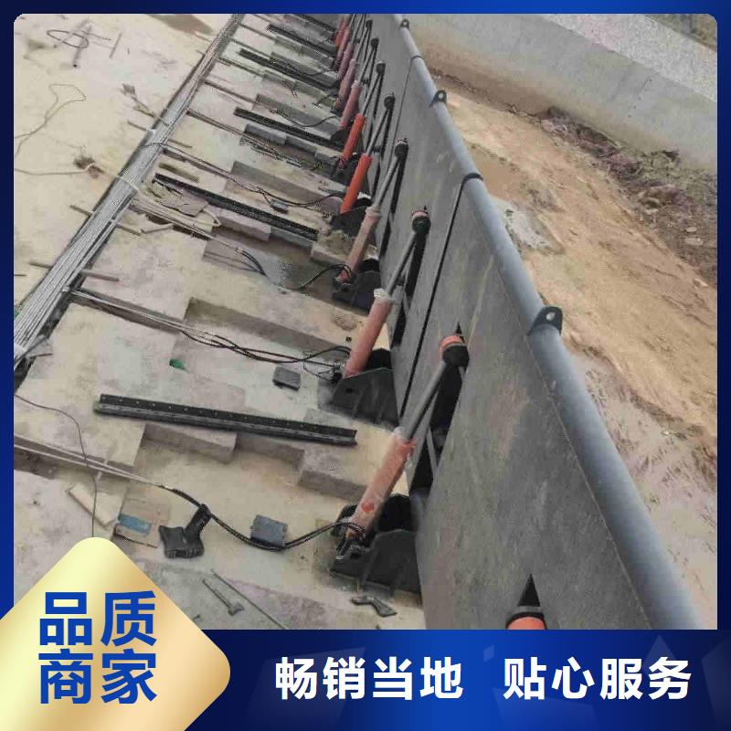 專業(yè)銷售底橫軸旋轉(zhuǎn)液壓鋼壩-熱銷