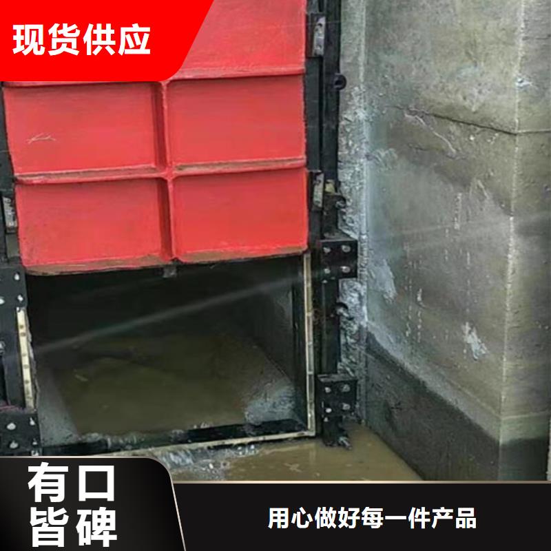 雙向鑄鐵閘門多種規(guī)格