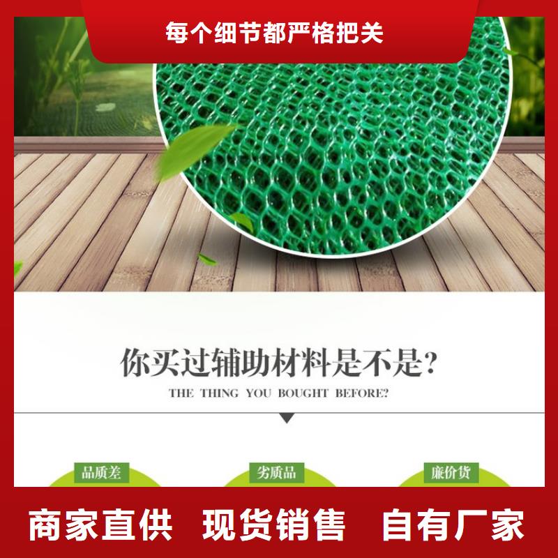 三维植被网【土工膜】源头采购