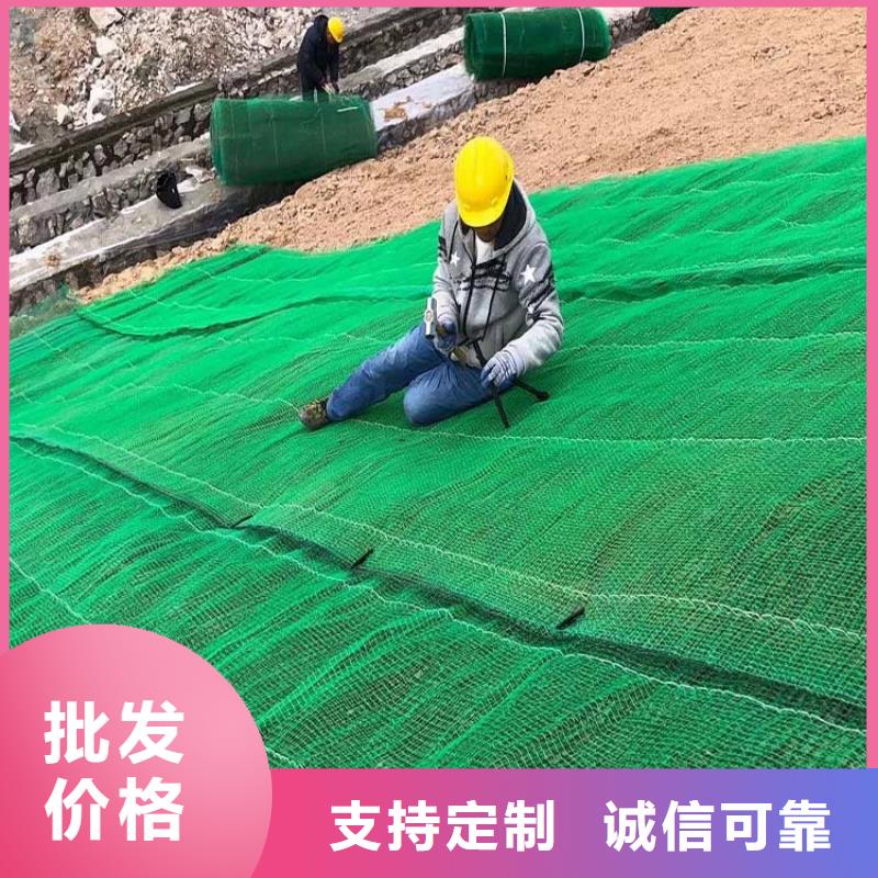 【三维植被网】聚丙烯纤维价格地道