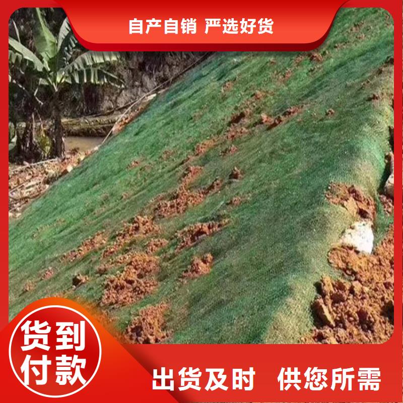 三维植被网紫铜止水片支持大小批量采购