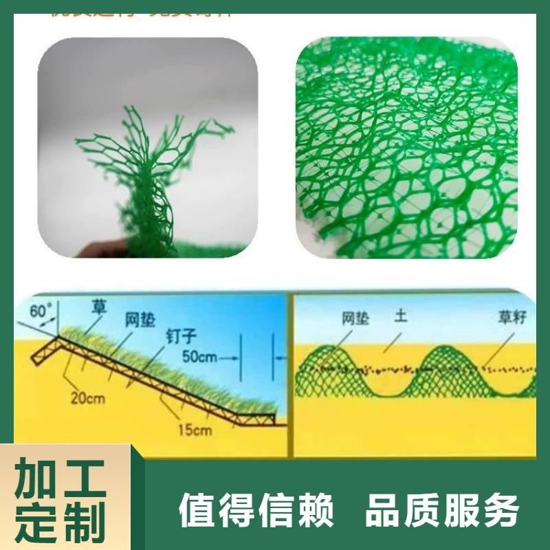 三维植被网紫铜止水片厂家用心做产品