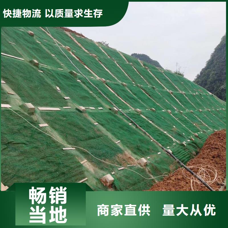 三维植被网紫铜止水片厂家用心做产品