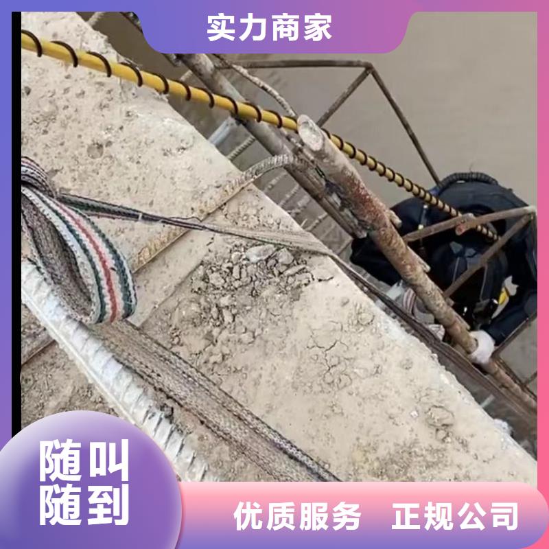 市政管网封堵水气囊水下堵漏水下焊接