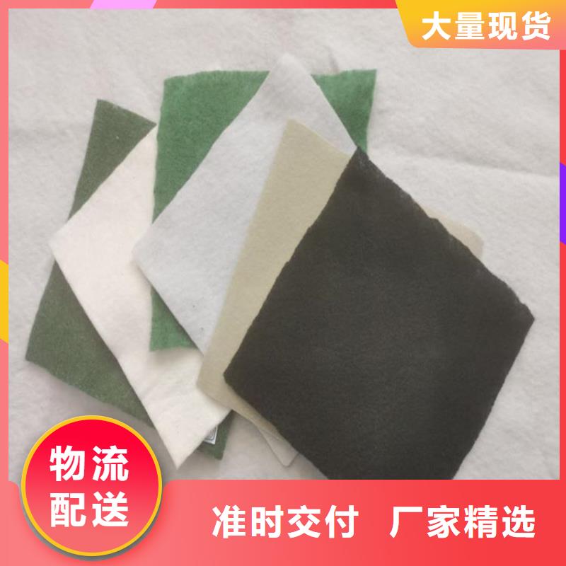 土工膜雙向土工格柵專業(yè)生產(chǎn)廠家