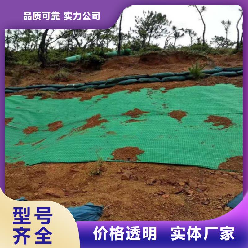 加筋抗冲生态毯加筋抗冲生物毯