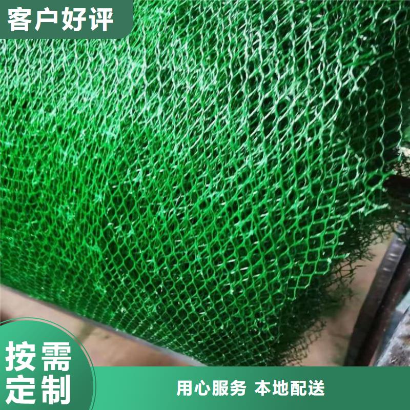 EM2三维植被网-边坡三维土工网垫