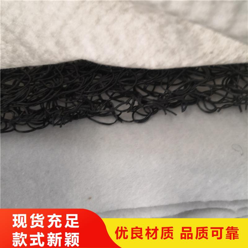 整體式復合反濾層土工席墊實體廠家