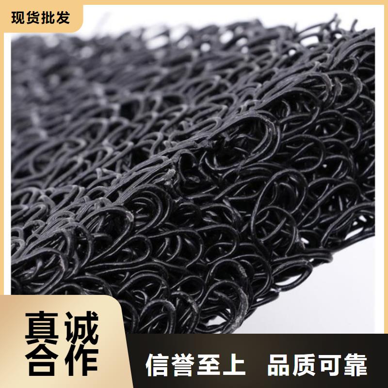 整體式復合反濾層土工席墊實體廠家