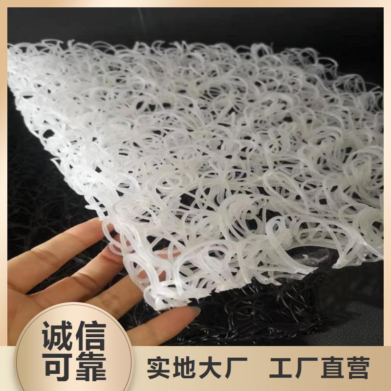 整體式復合反濾層土工席墊實體廠家