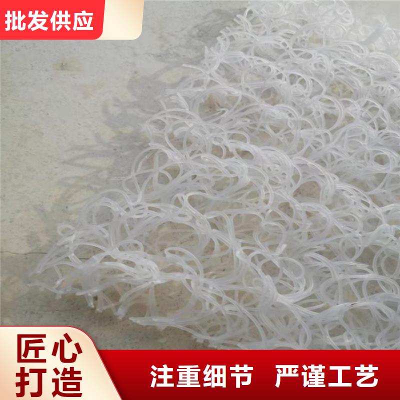 整體式復合反濾層土工席墊實體廠家