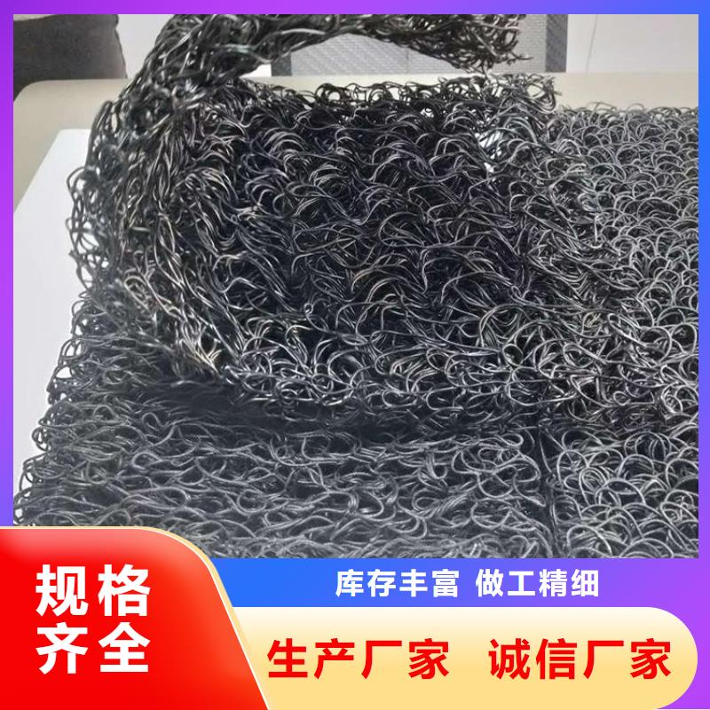 整體式復合反濾層土工席墊實體廠家