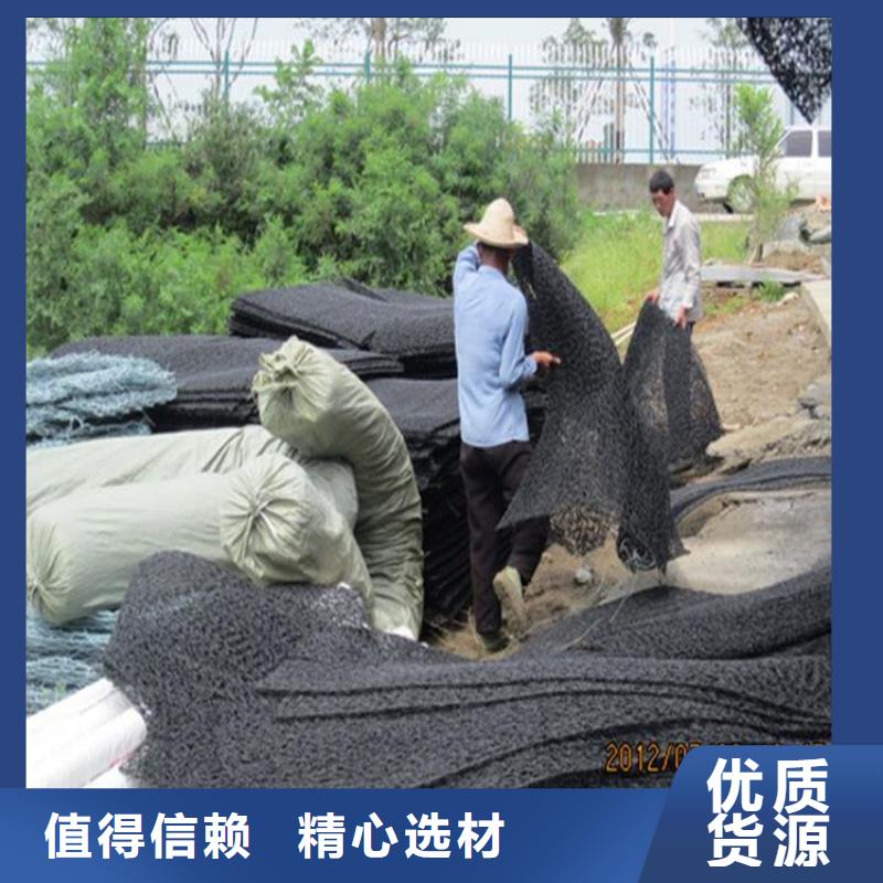 整體式復合反濾層土工席墊實體廠家