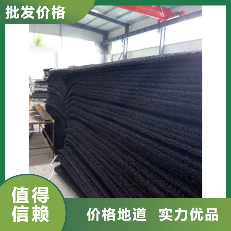 整體式復合反濾層土工席墊實體廠家
