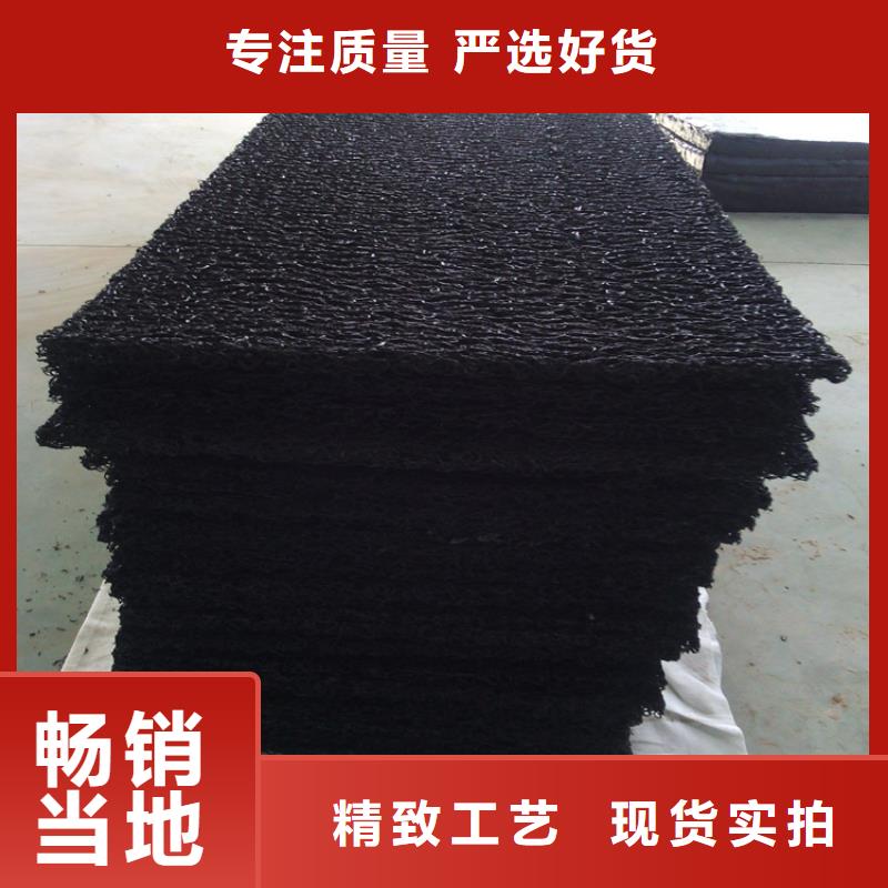 整體式復合反濾層土工席墊實體廠家