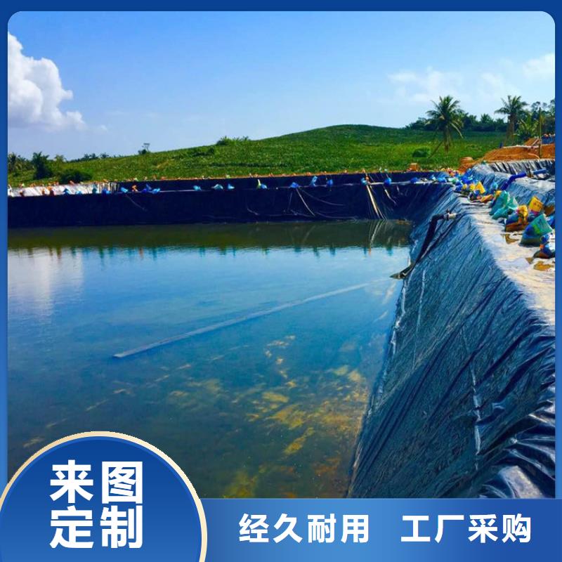 土工膜【双向塑料土工格栅】海量货源