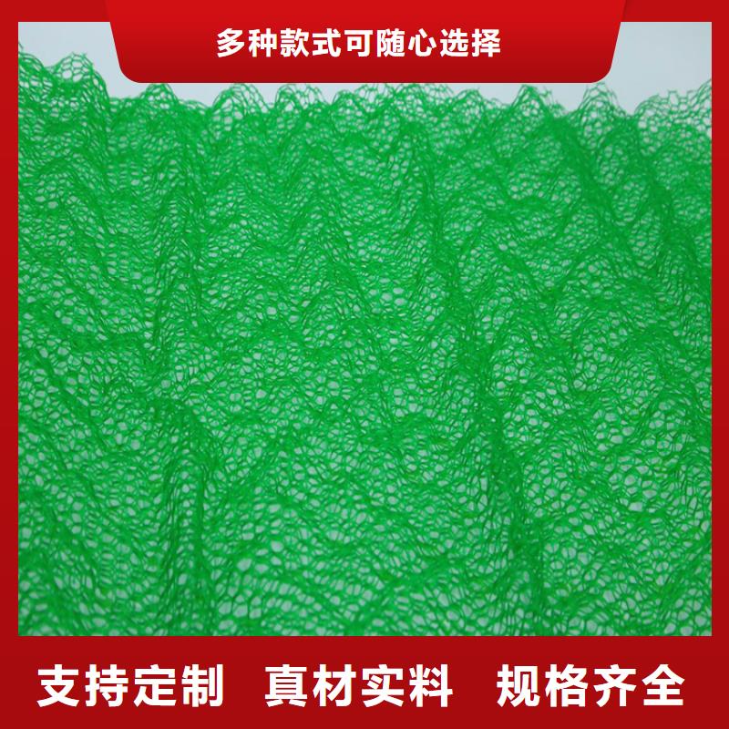 绿化塑料三维植被网