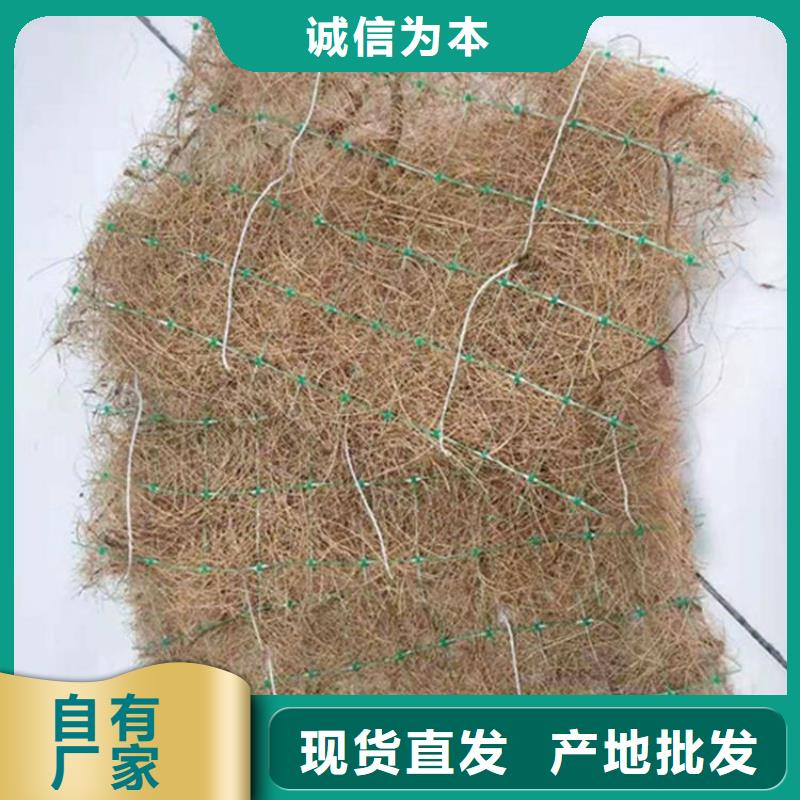 护坡植被植草毯质优价廉