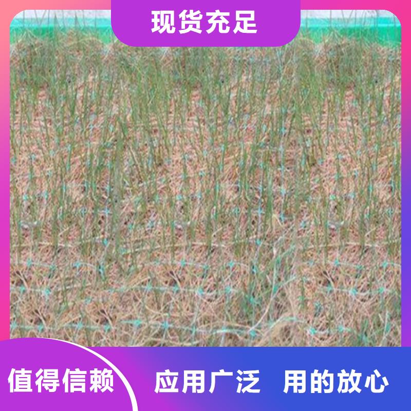 植物生态防护毯-绿化生态毯