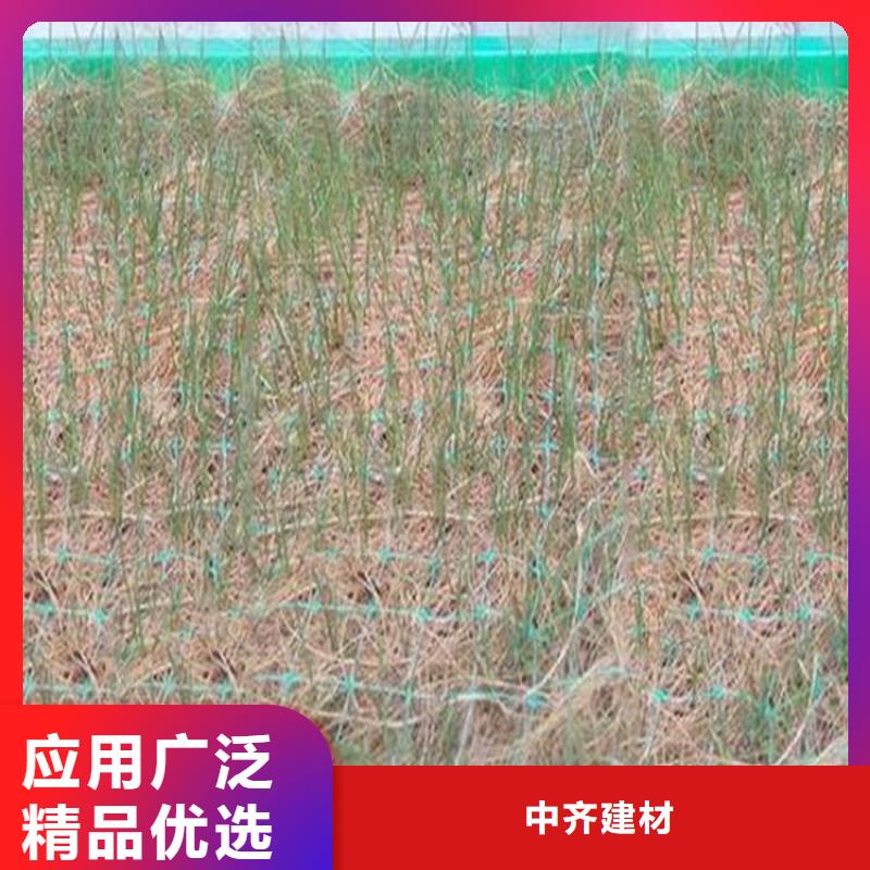 加筋抗冲生物毯-椰丝植被纤维毯