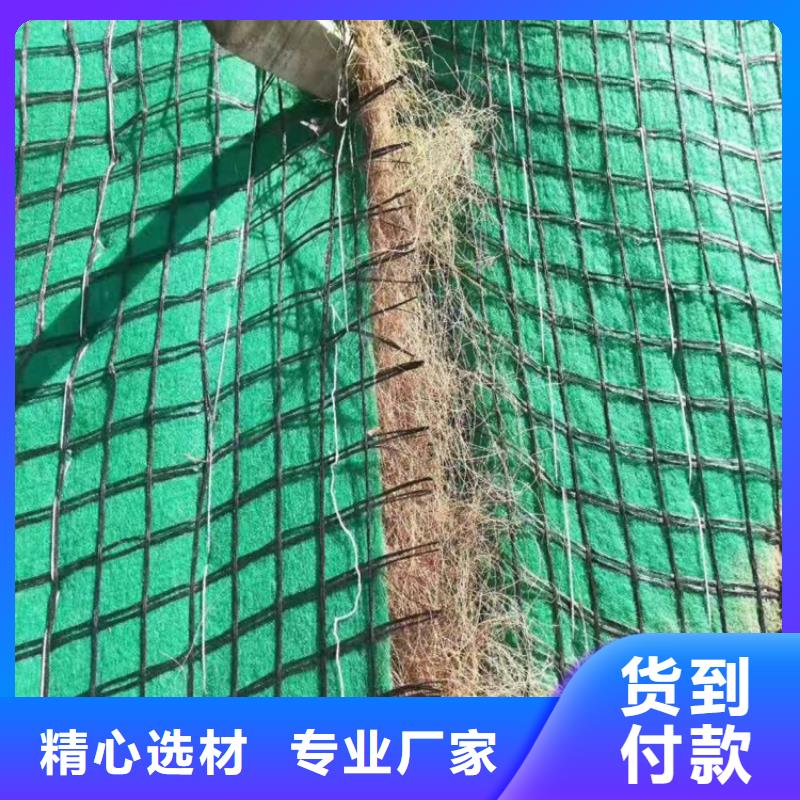 护坡植被植草毯质优价廉