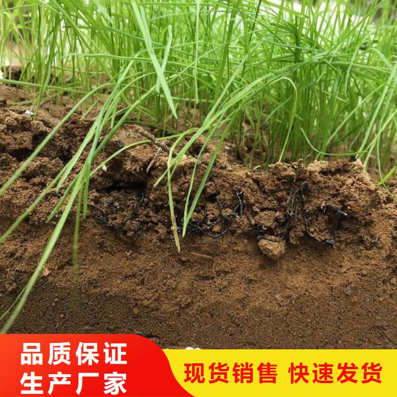 水土保护毯,【玻纤土工格栅】发货及时