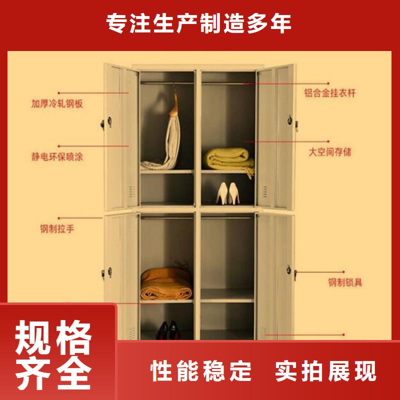 二門鐵皮柜單面鋼制書架