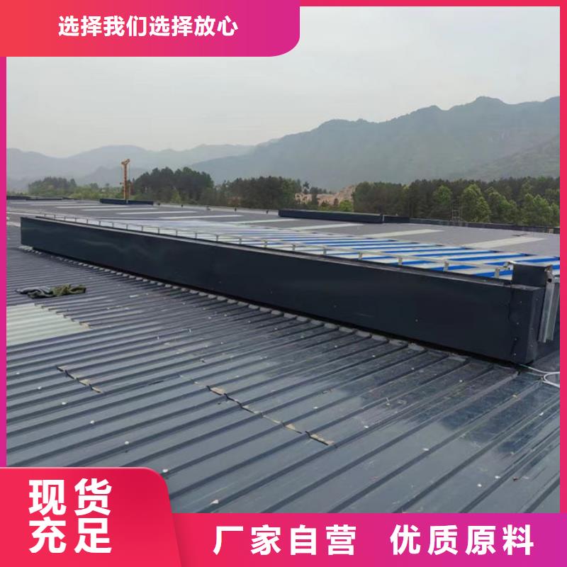 屋脊通風(fēng)天窗來(lái)樣定制