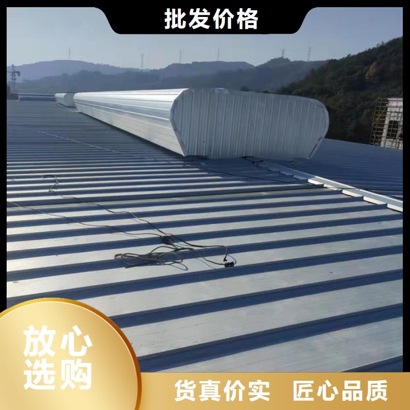 房通風(fēng)氣樓定制