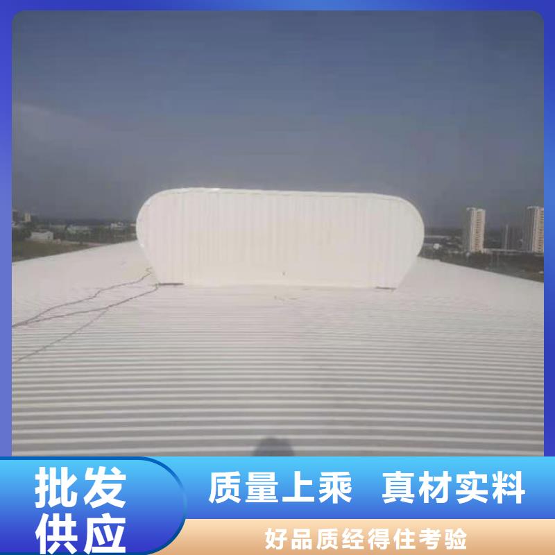 2型通風(fēng)天窗（啟閉式）