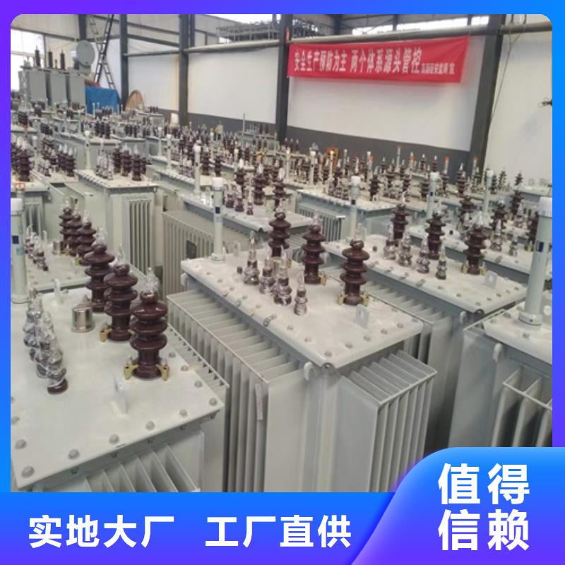 10年经验S22-100KVA/35KV/10KV/0.4KV油浸式变压器