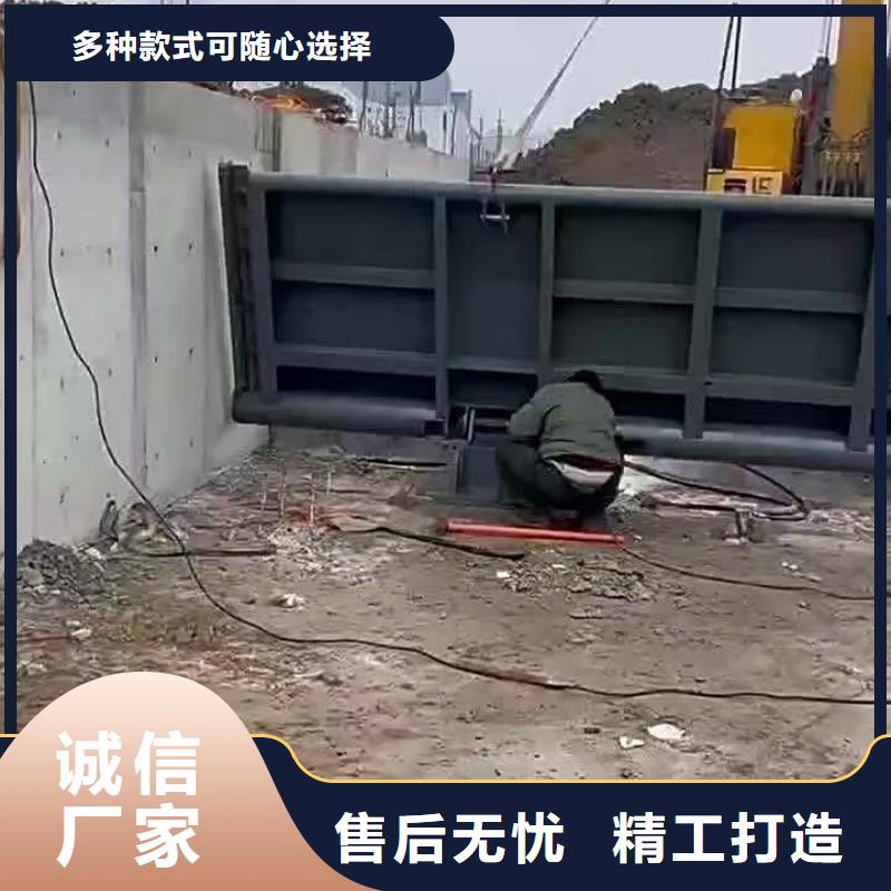 啟閉機閘門-放心可靠