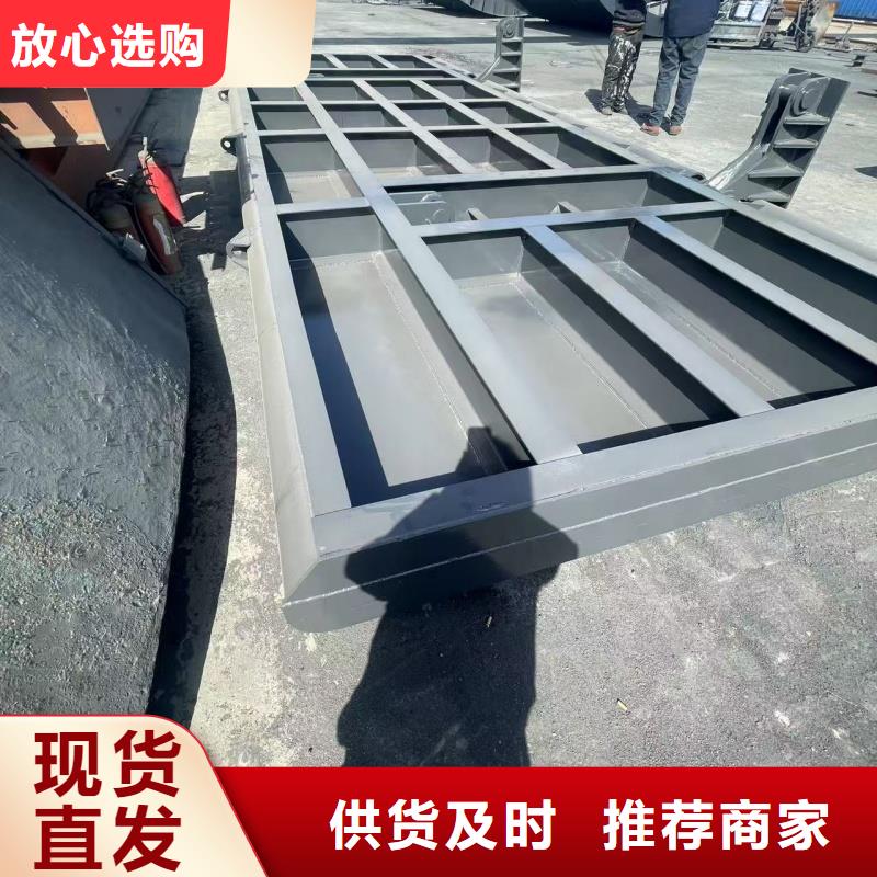 翻板閘門支持定制