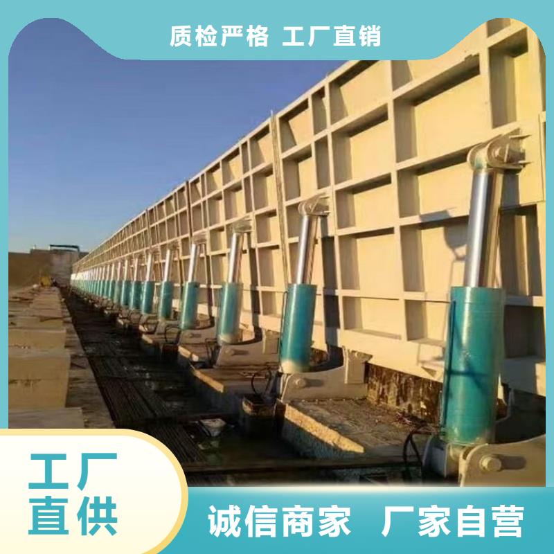 翻板閘門側(cè)翻式單開拍門專注質(zhì)量