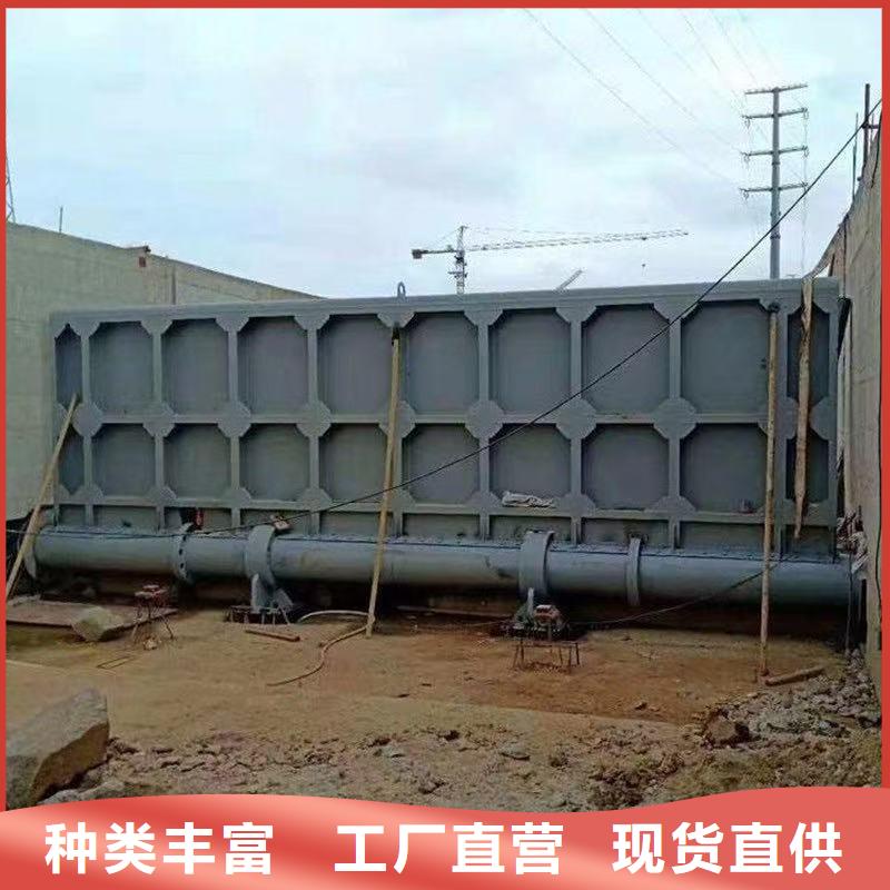 翻板閘門(mén)自動(dòng)抓梁翻板閘門(mén)好廠家有擔(dān)當(dāng)