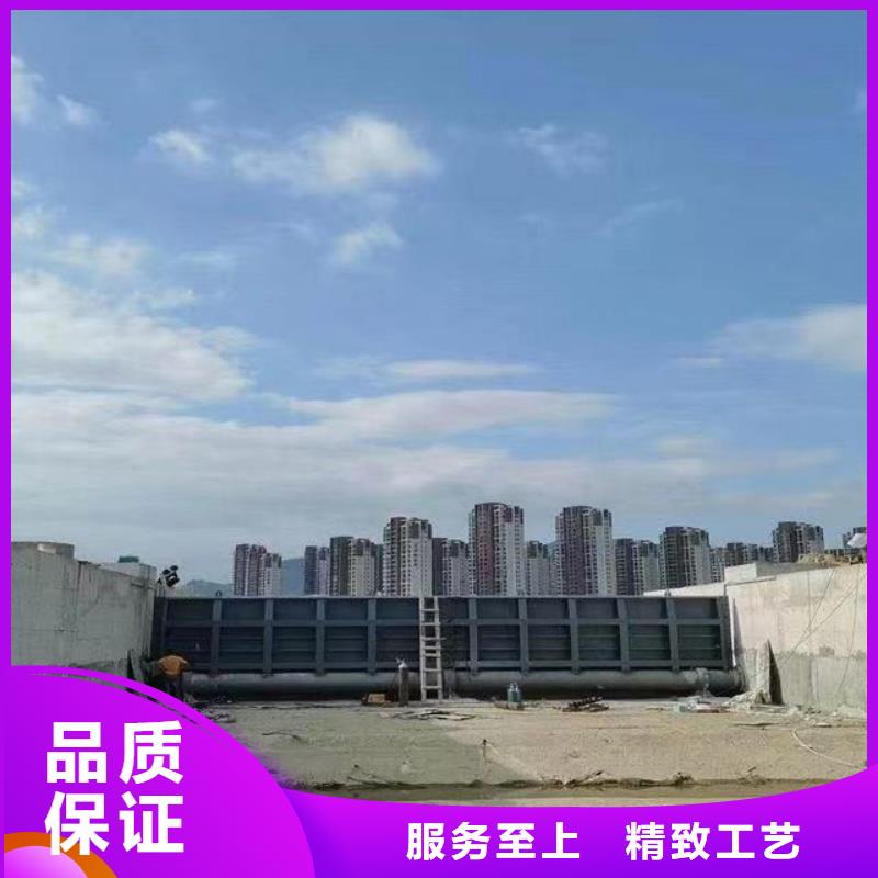 #專業(yè)翻板閘門#供應商