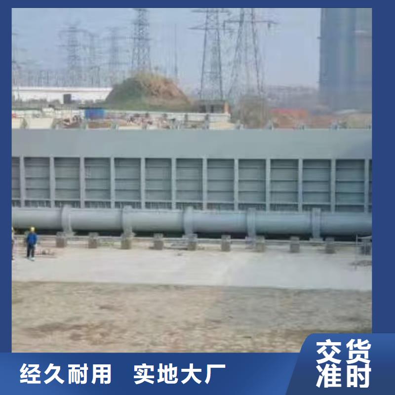 翻板閘門量大從優(yōu)