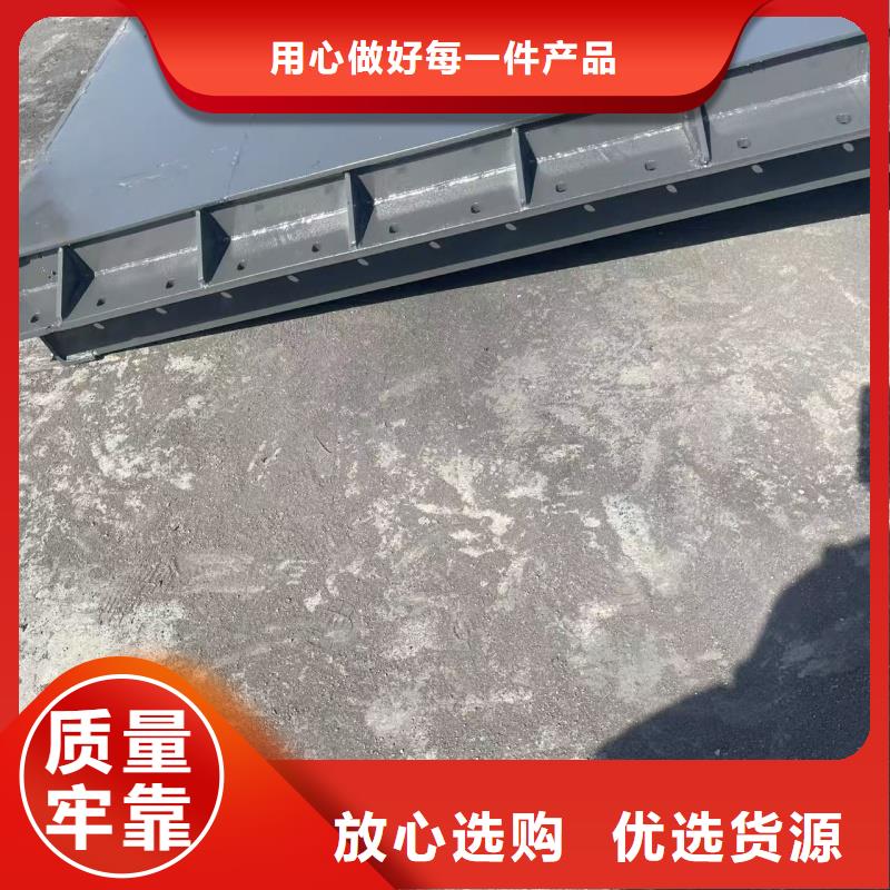 翻板閘門廠家新品