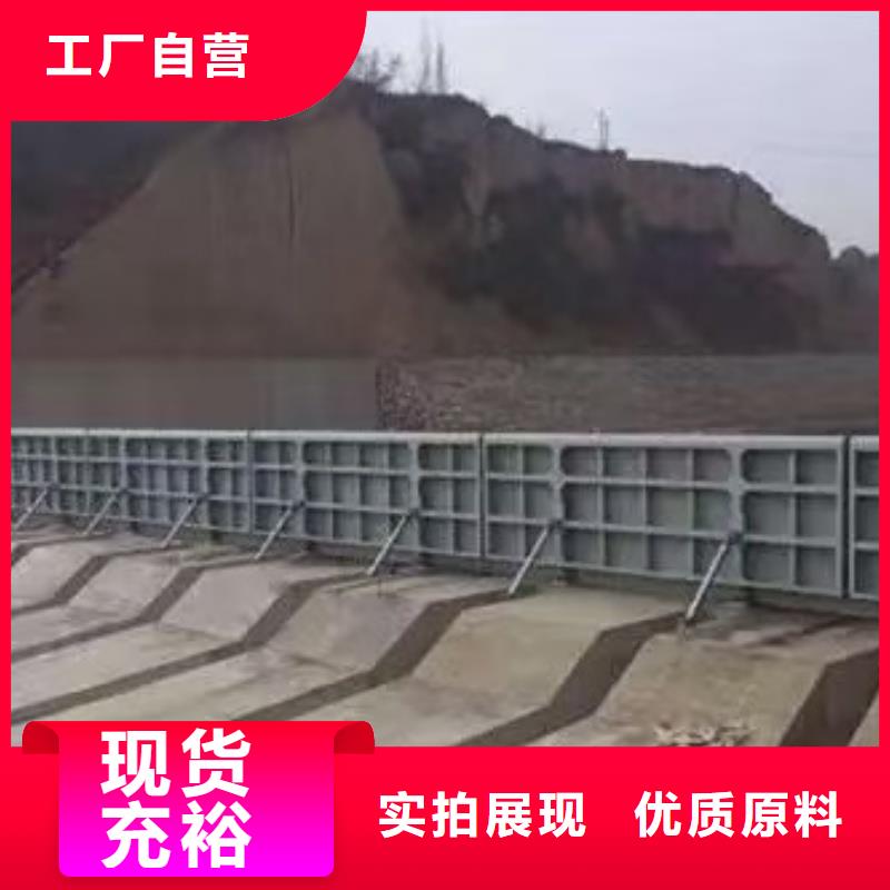 液壓電動(dòng)閘門按需定做