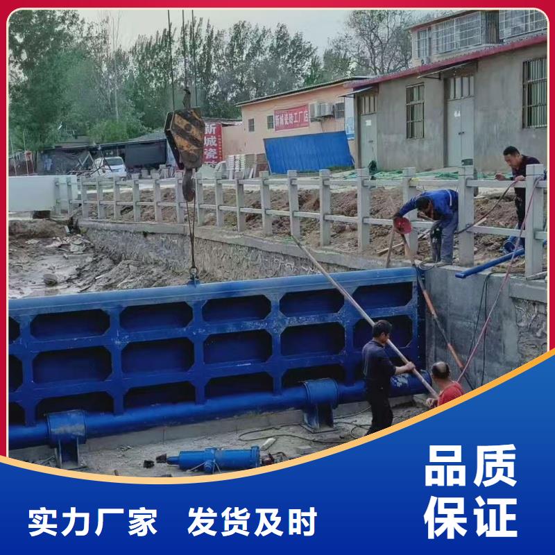 翻板閘門(mén)敢與同行比質(zhì)量