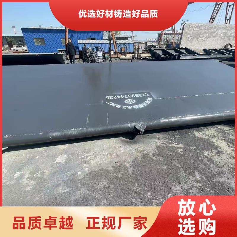 翻板閘門復(fù)合拍門做工細(xì)致