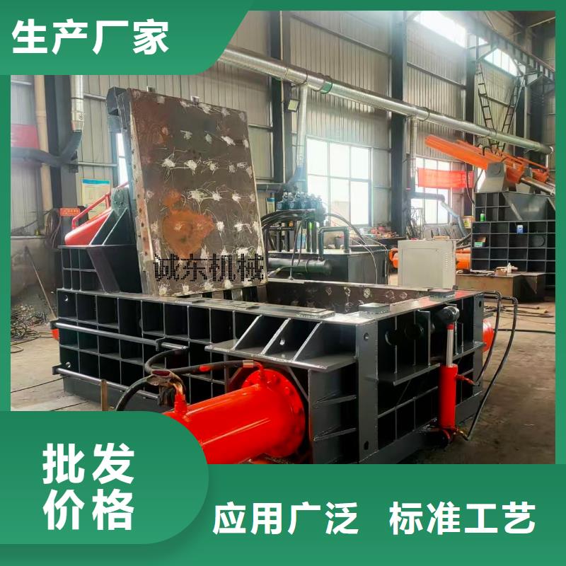 小型鐵屑壓塊機型號齊全