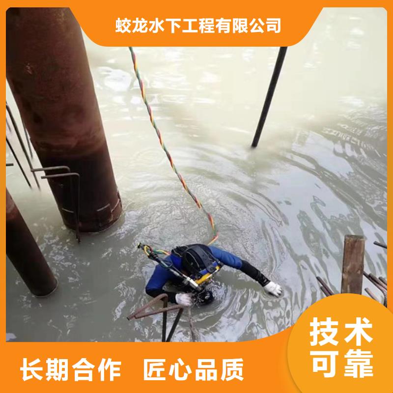 潜水员水下录像品种多样