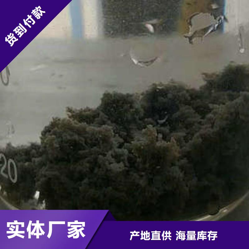 批发COD去除剂的供货商